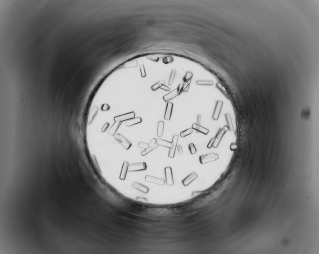 X0000103431517200810241046