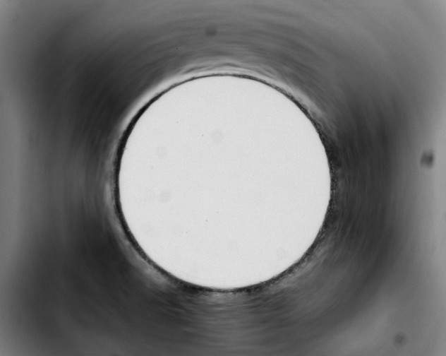 X0000103431518200810241046