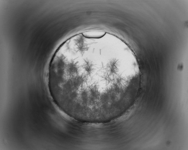 X0000103431519200810241046