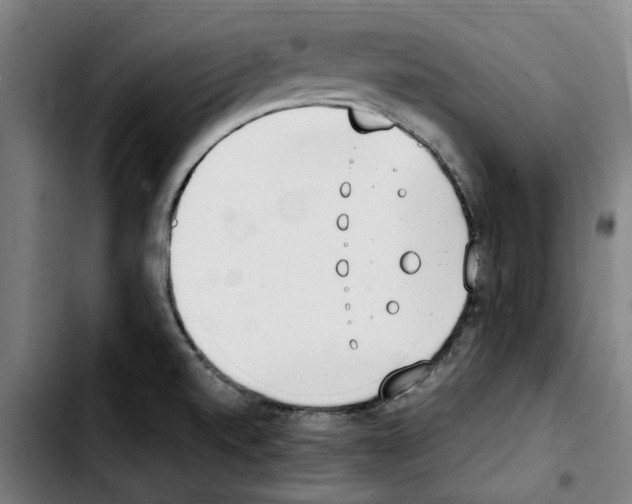 X0000103431520200810241046