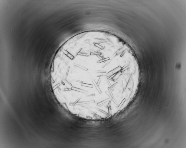 X0000103431521200810241046