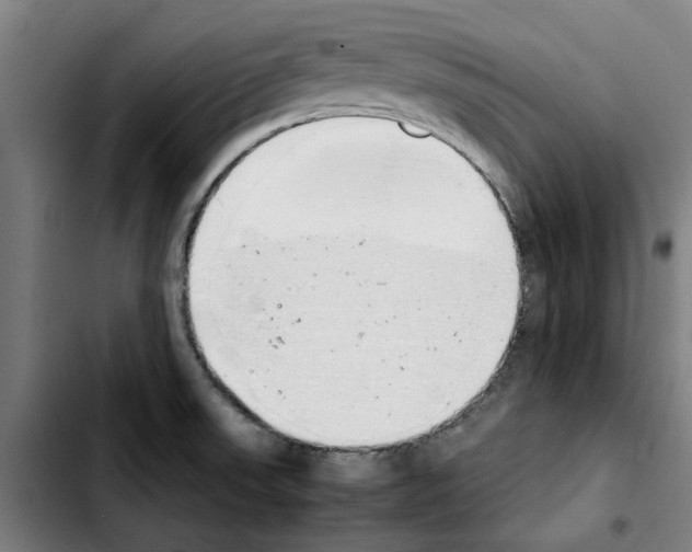 X0000103431523200810241046