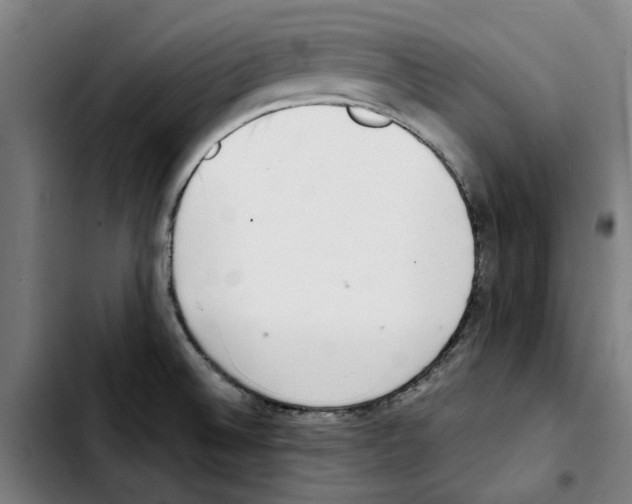 X0000103431524200810241046