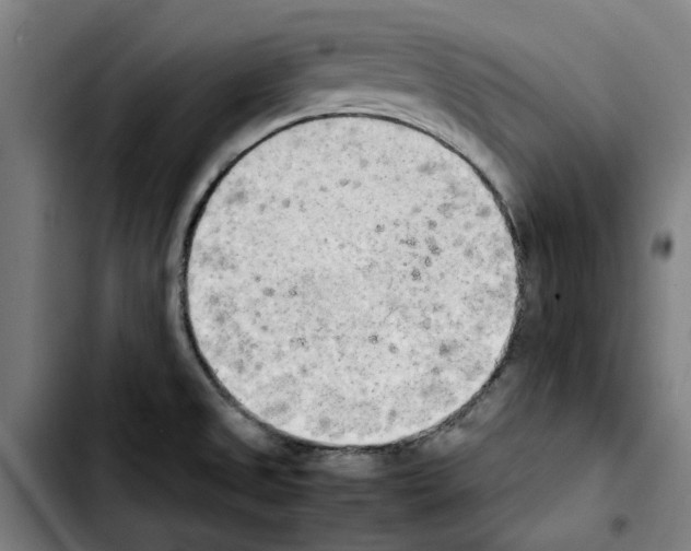 X0000103431525200810241046