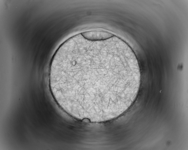 X0000103431526200810241046
