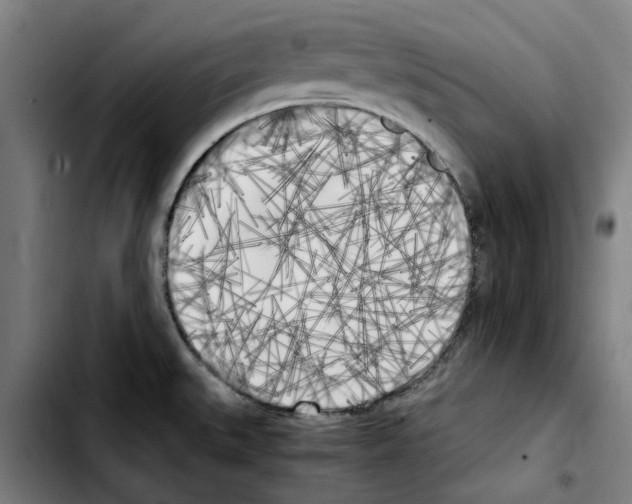 X0000103431527200810241046