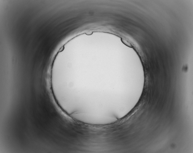 X0000103431528200810241046