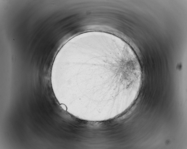 X0000103431529200810241047