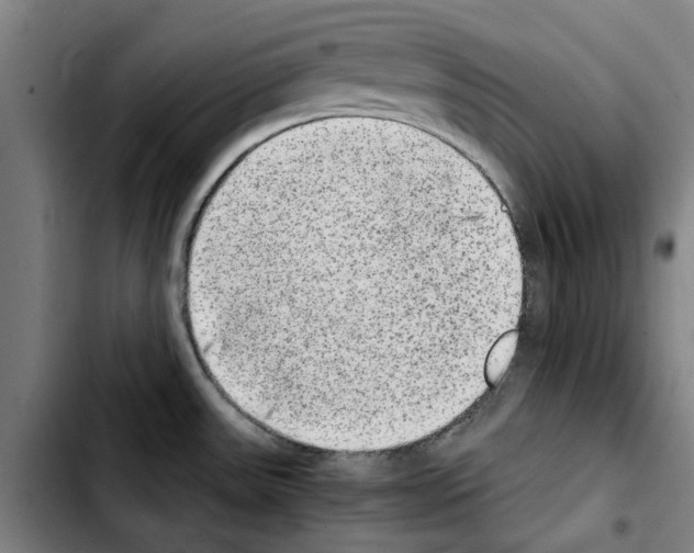 X0000103431531200810241047