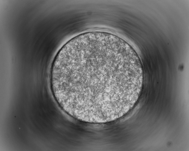 X0000103431533200810241047