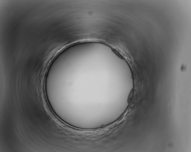 X0000103440001200809121112