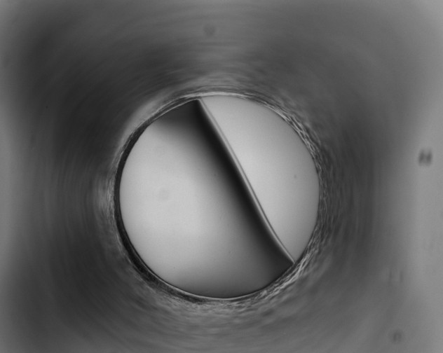 X0000103440004200809121112