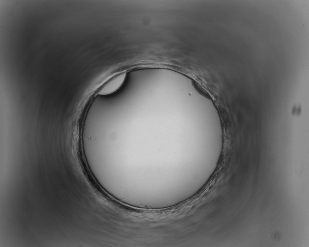 X0000103440005200809121112