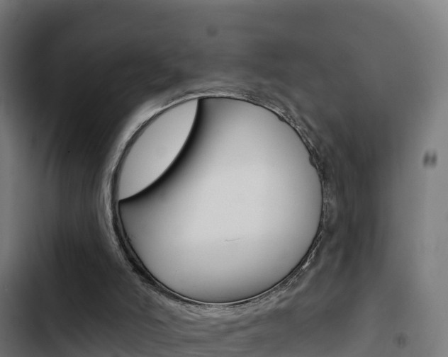 X0000103440006200809121112