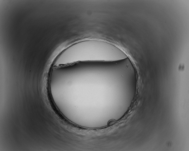 X0000103440007200809121112