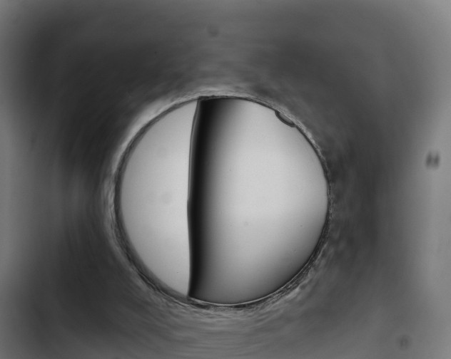 X0000103440008200809121112