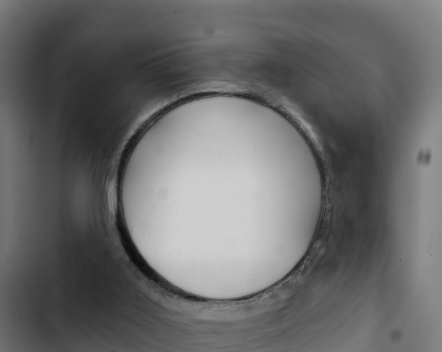 X0000103440011200809121112