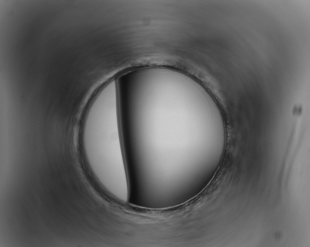 X0000103440012200809121112