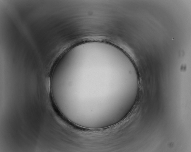 X0000103440013200809121112