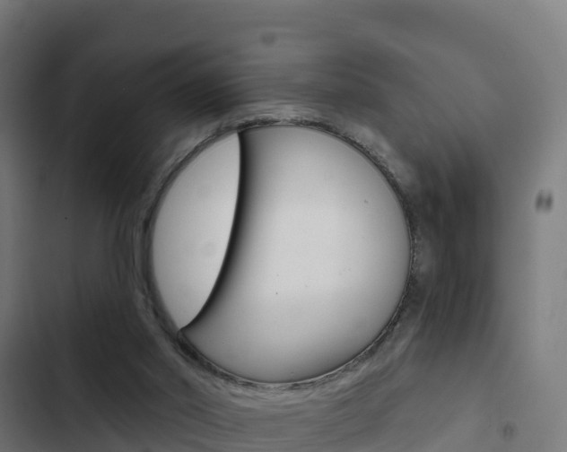 X0000103440014200809121112