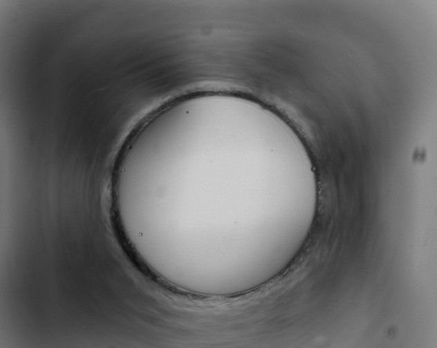 X0000103440015200809121112