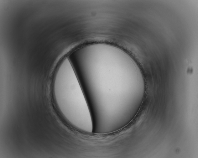 X0000103440016200809121112