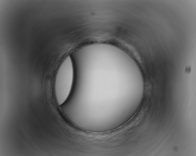 X0000103440018200809121112