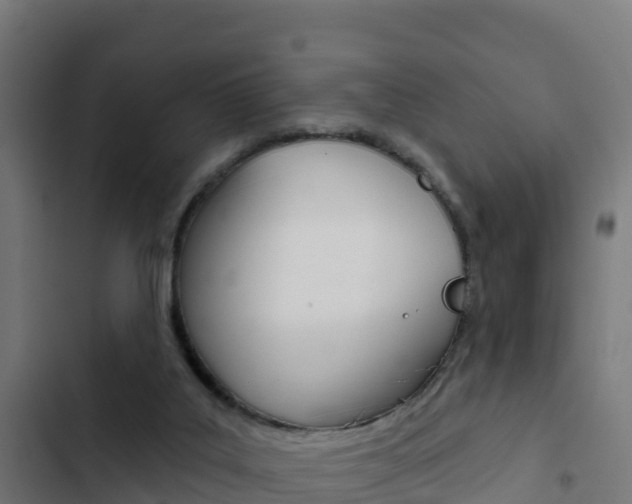 X0000103440019200809121112