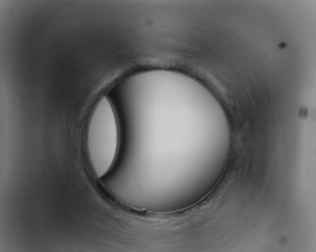 X0000103440020200809121112