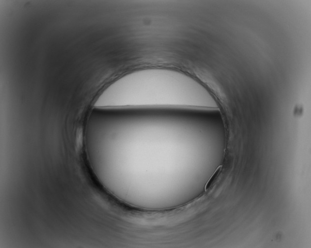 X0000103440021200809121112