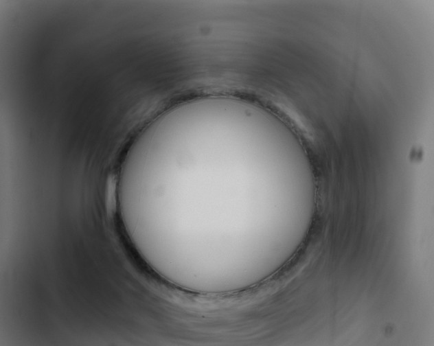 X0000103440022200809121112