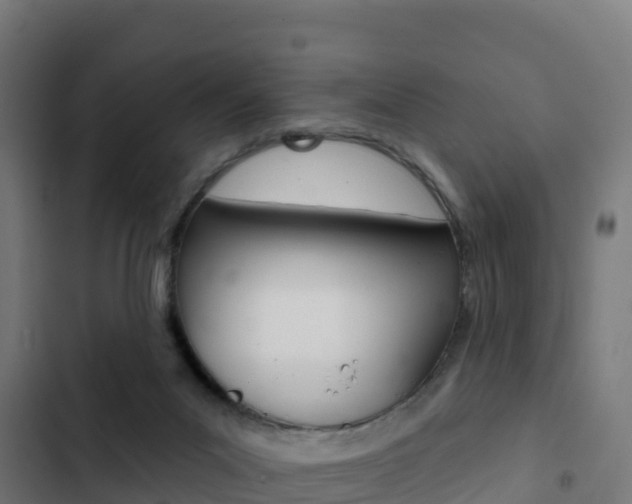 X0000103440023200809121112