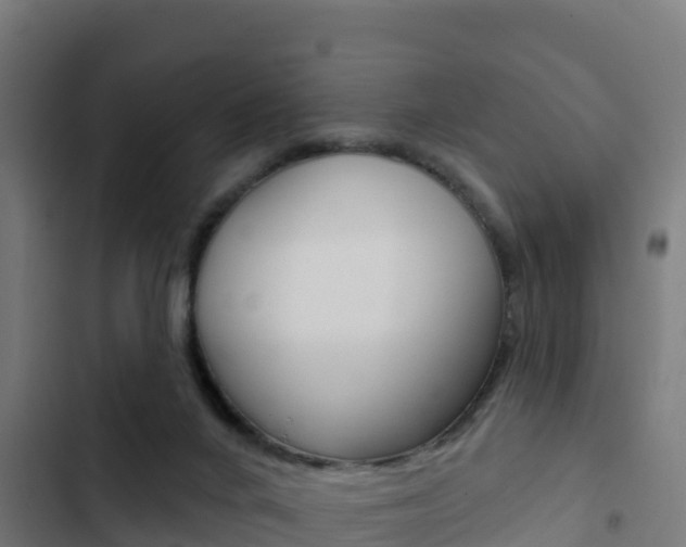 X0000103440024200809121112