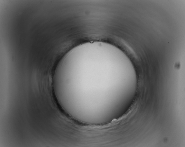X0000103440025200809121112
