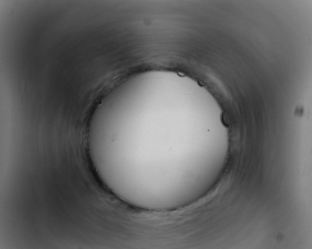 X0000103440029200809121112