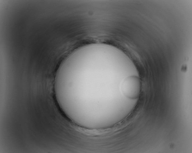 X0000103440030200809121112