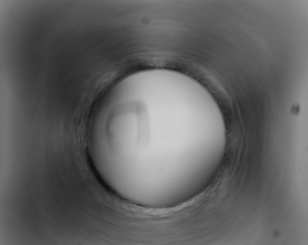 X0000103440031200809121112