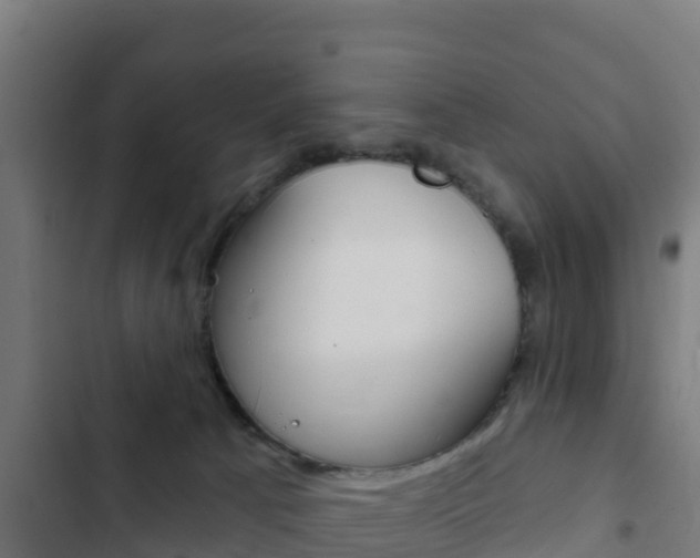 X0000103440033200809121112