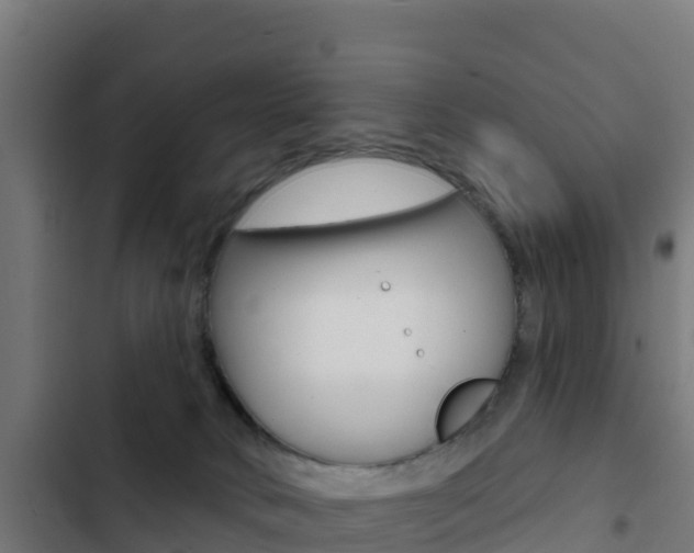 X0000103440034200809121112