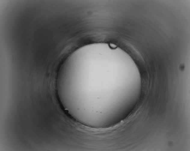 X0000103440035200809121112
