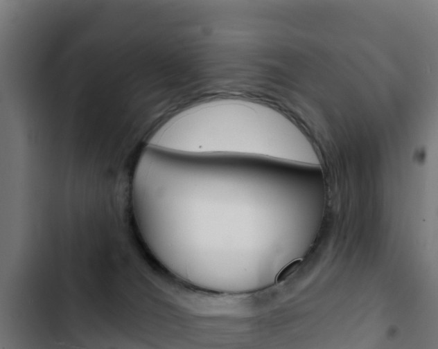 X0000103440036200809121112