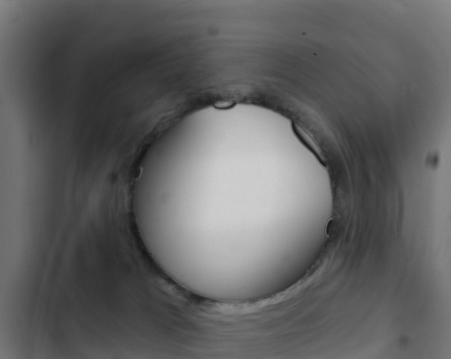 X0000103440037200809121112