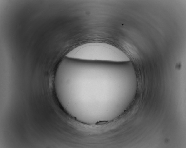 X0000103440038200809121112