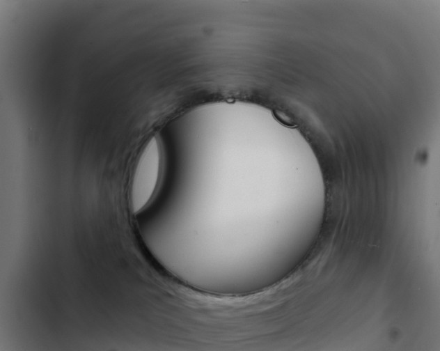 X0000103440039200809121112