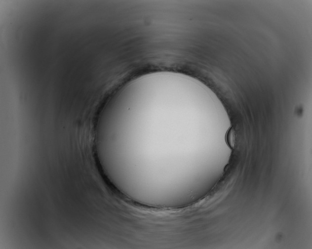 X0000103440040200809121112