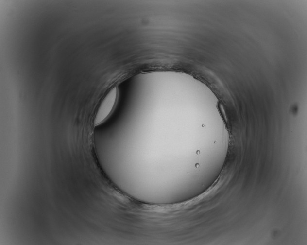 X0000103440045200809121112