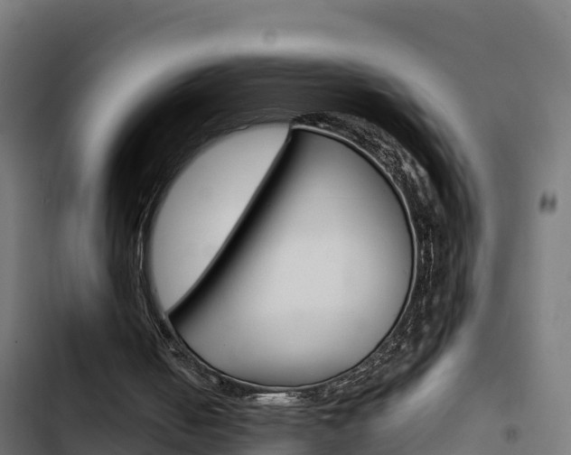 X0000103440050200809121111