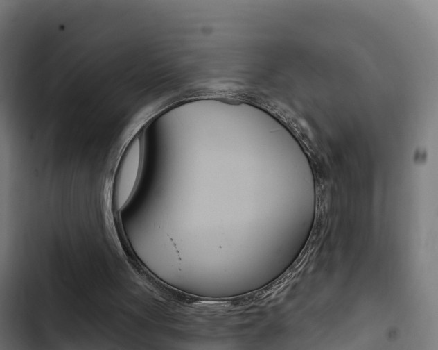 X0000103440051200809121111