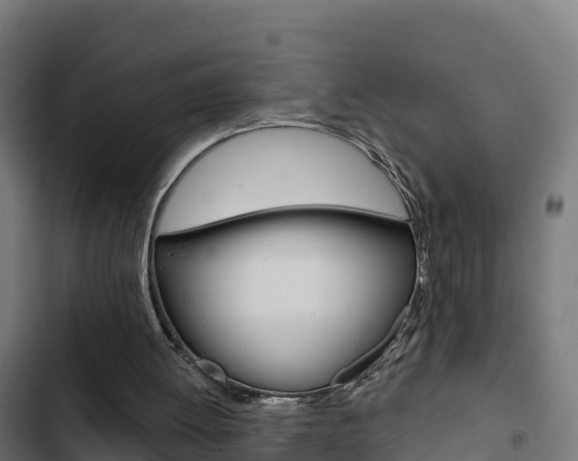 X0000103440052200809121111