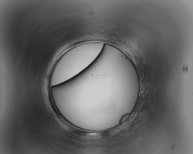 X0000103440053200809121111